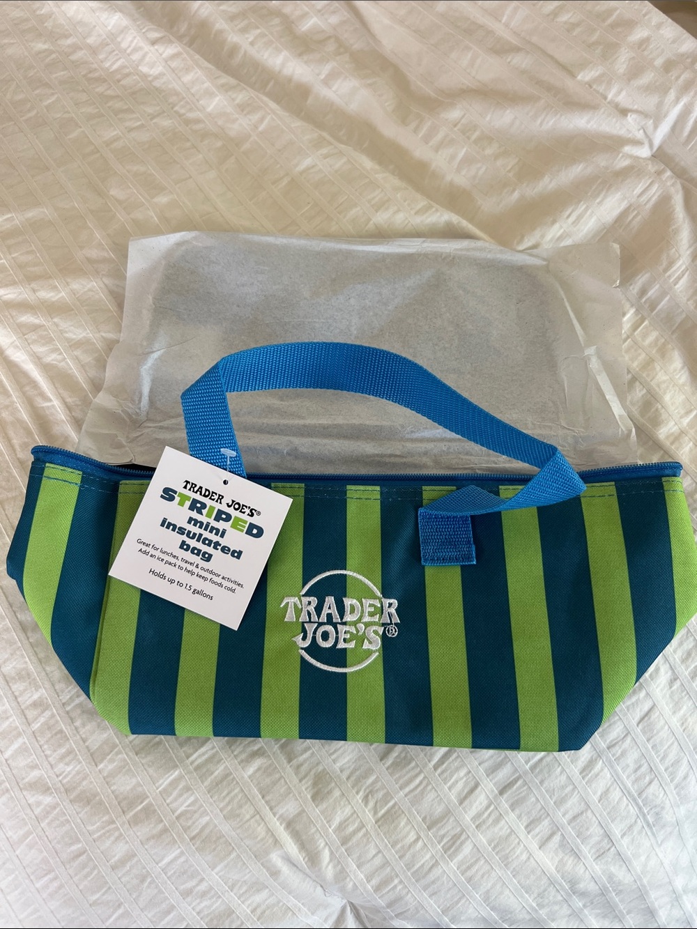 Trader Joe's Blue and Green Striped Mini Insulated Bag